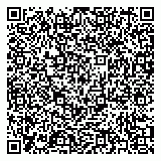 vCard 79397090317