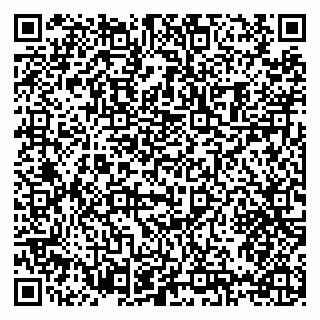 vCard 79397090324