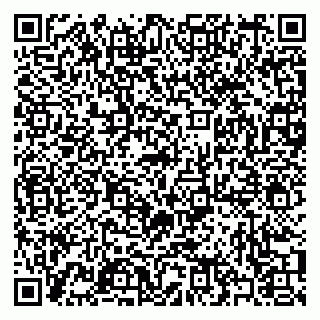 vCard 79397090325