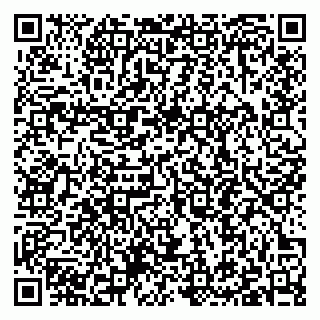 vCard 79397090329