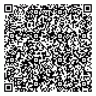 vCard 79397090330