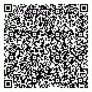 vCard 79397090411