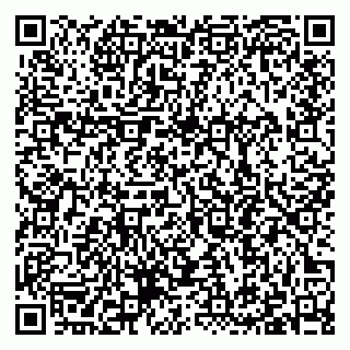vCard 79397090803