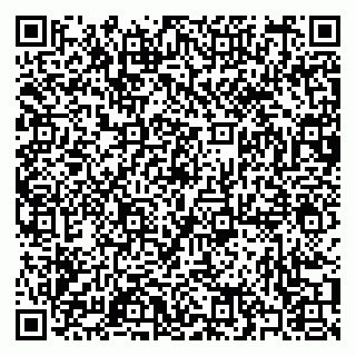 vCard 79397091331