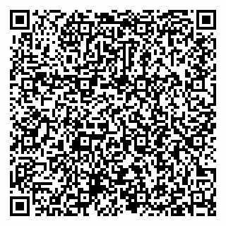 vCard 79397091381