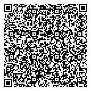 vCard 79397092731