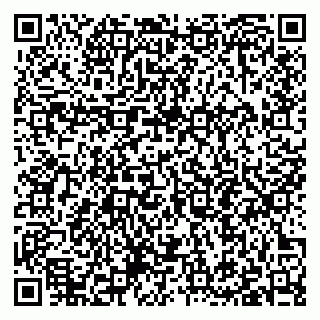 vCard 79397093079