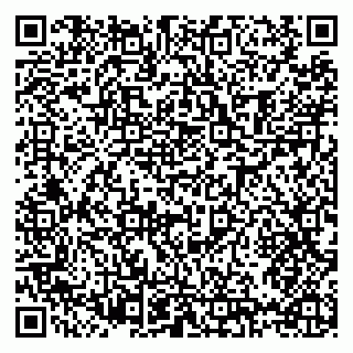 vCard 79397093319