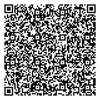 vCard 79397093381