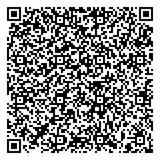 vCard 79397093389