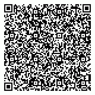 vCard 79397093519