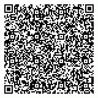 vCard 79397093585