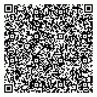 vCard 79397093587