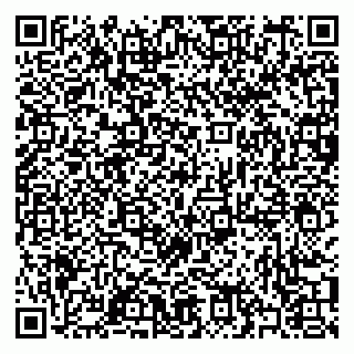 vCard 79397093739