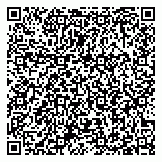 vCard 79397093799