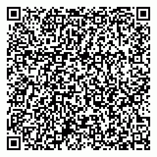 vCard 79397093839