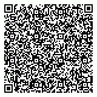 vCard 79397093985