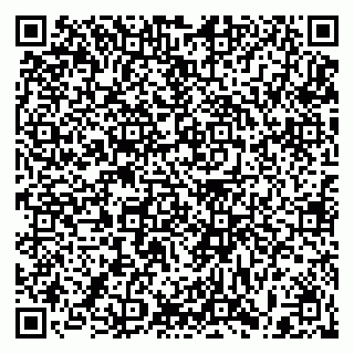 vCard 79397094020