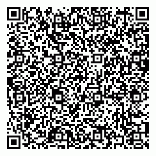 vCard 79397094131