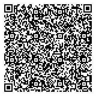 vCard 79397094735