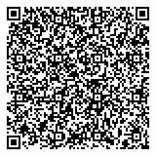 vCard 79397094863