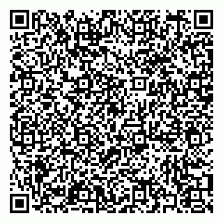 vCard 79397095005