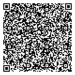 vCard 79397095079