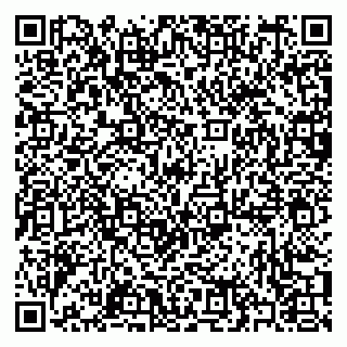 vCard 79397095735