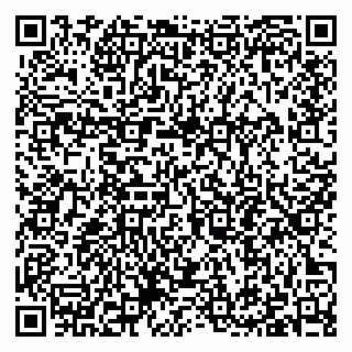 vCard 79397095873