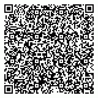 vCard 79397095874