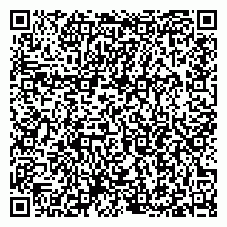 vCard 79397095881