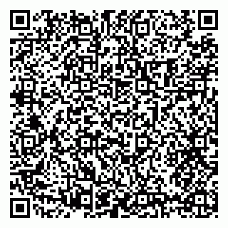vCard 79397096381