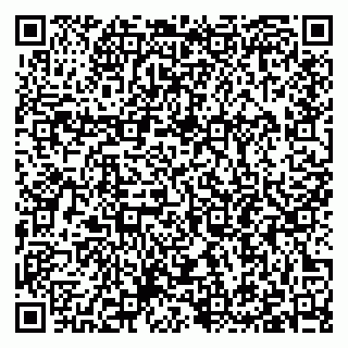 vCard 79397096881
