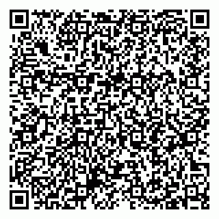 vCard 79397097313