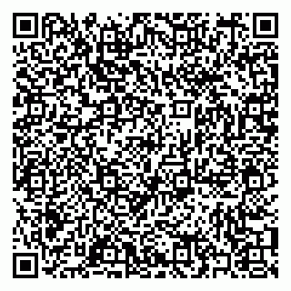 vCard 79397097384