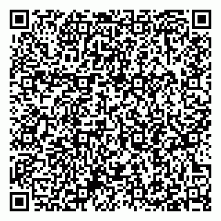 vCard 79397097539