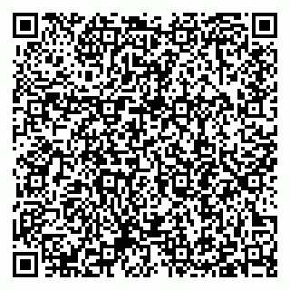 vCard 79397099079