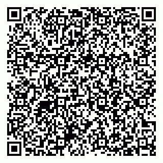 vCard 79397099221