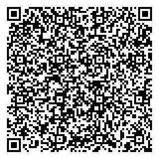vCard 79397099271