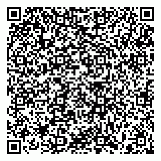 vCard 79397099287