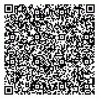 vCard 79397099521