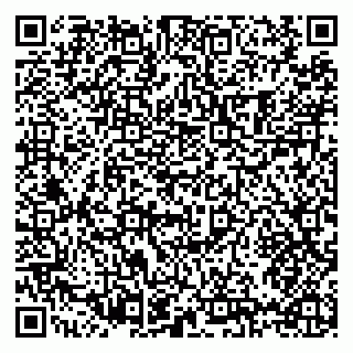 vCard 79397099533