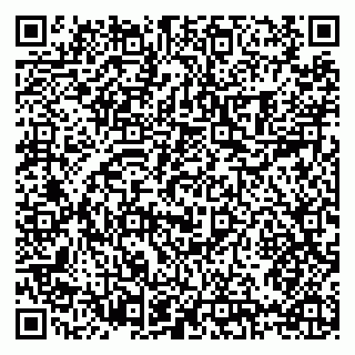 vCard 79397099913