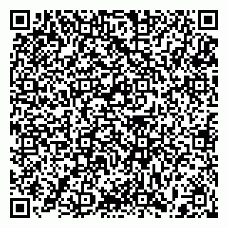 vCard 79397099933