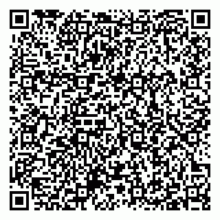 vCard 79397100039