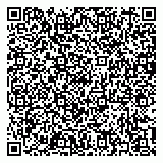 vCard 79397100133
