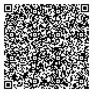 vCard 79397100173