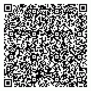 vCard 79397100211