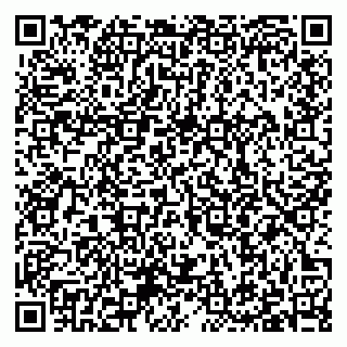 vCard 79397100217