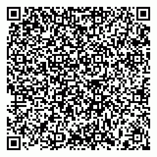 vCard 79397100218